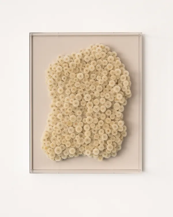 Hilde Trip, A cloud full of wishes