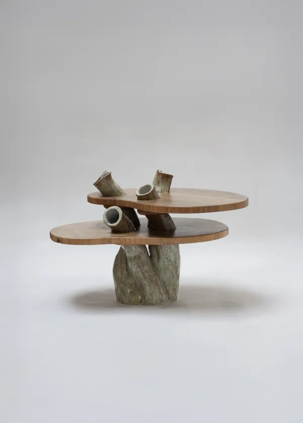 Tiemen Harder, Transference Salon Table