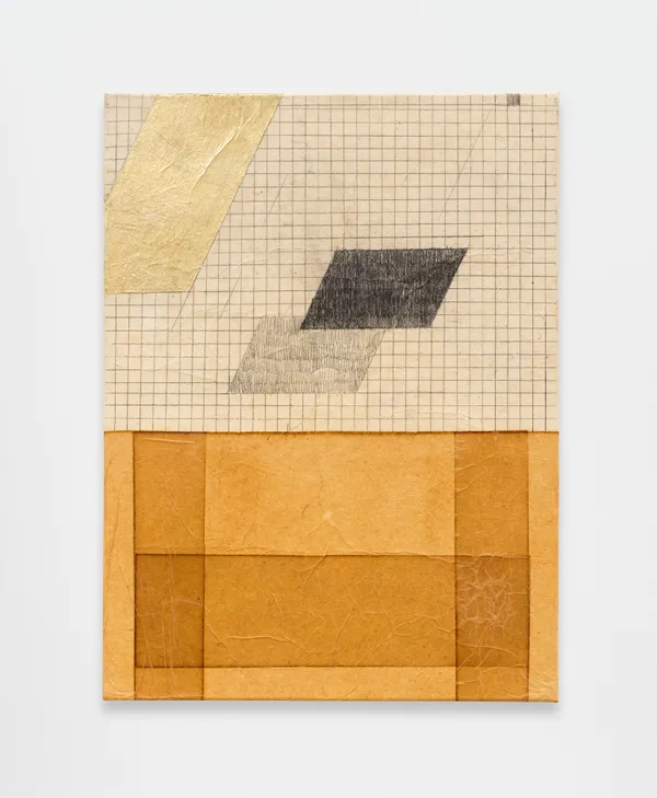 Purvai Rai, Fieldwork 1, 2026