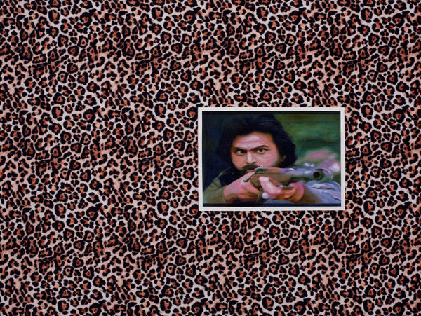 Hamid Ali Hanbhi, Shikari (Hunter), 2025