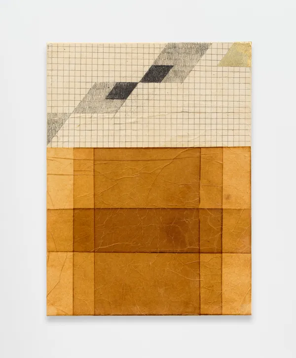 Purvai Rai, Fieldwork 4, 2026