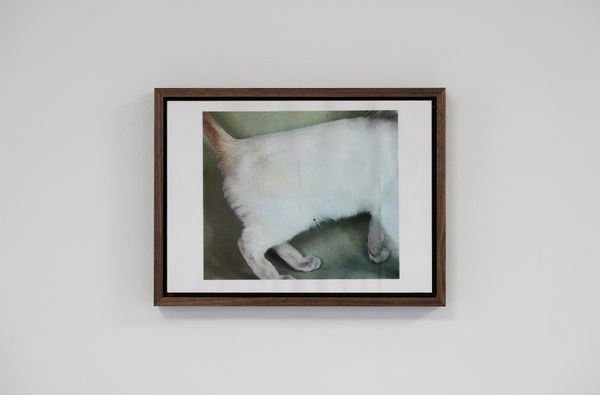 Laila Majid, soft feel 01, 2023