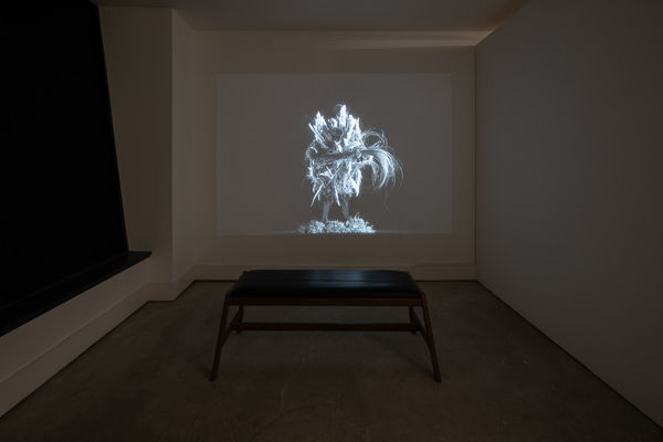 Michelle Williams Gamaker, The Bang Straws, 2021