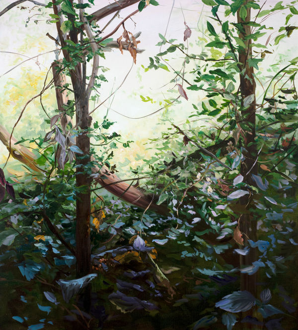 The Space by James Lane 8