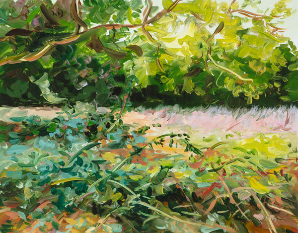 The Space by James Lane, Autumn 2