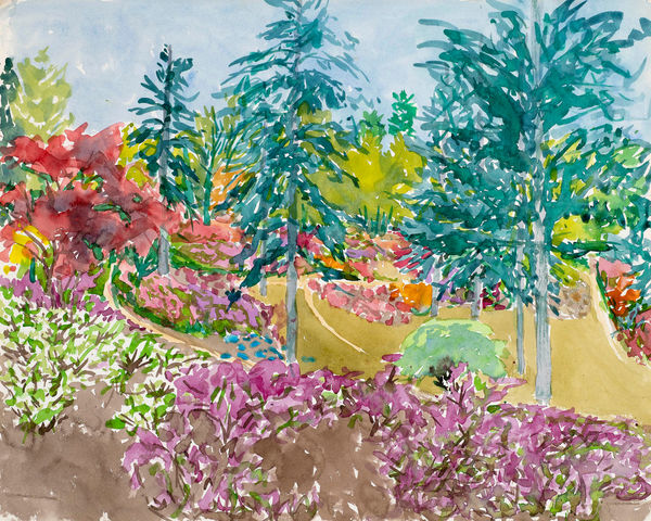 Punchbowl Valley Gardens, Windsor Great Park, 19th May