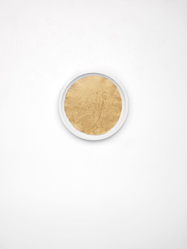 Stacy Lynn Waddell, Untitled (Sweet Violet), 2024