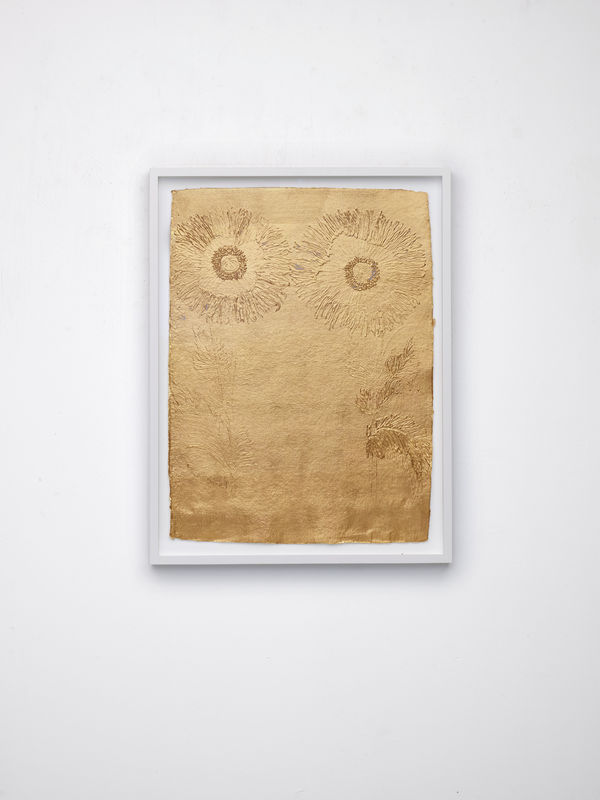 Stacy Lynn Waddell, Untitled (Opium Poppy), 2024