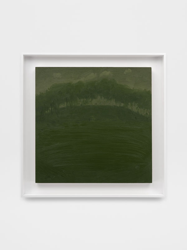 Will Gabaldón, Mutant, 2024