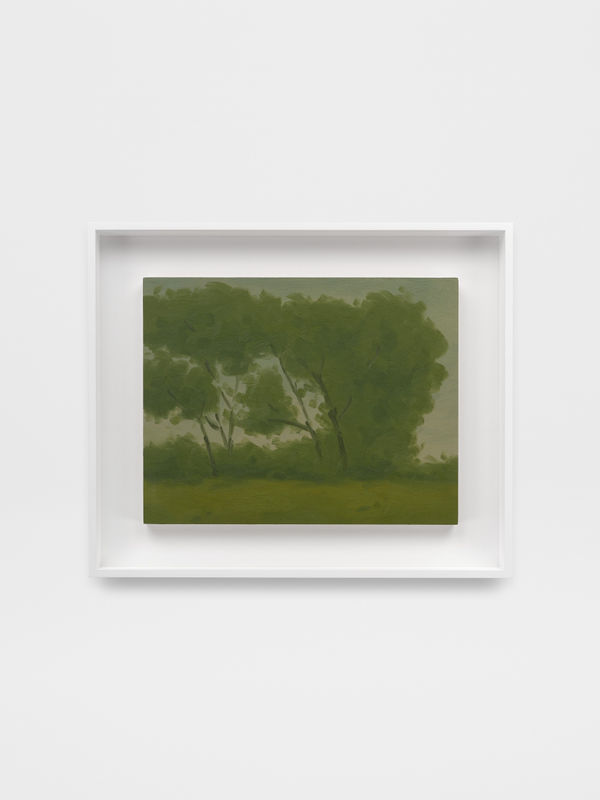 Will Gabaldón, Landscape (08/18/2024), 2024