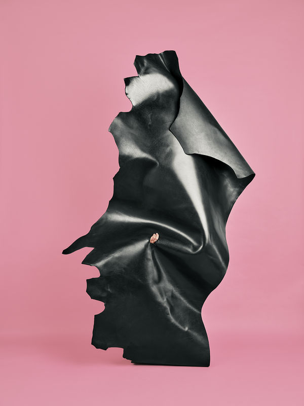 Jamil Hellu, Untitled (Odyssey), 2025