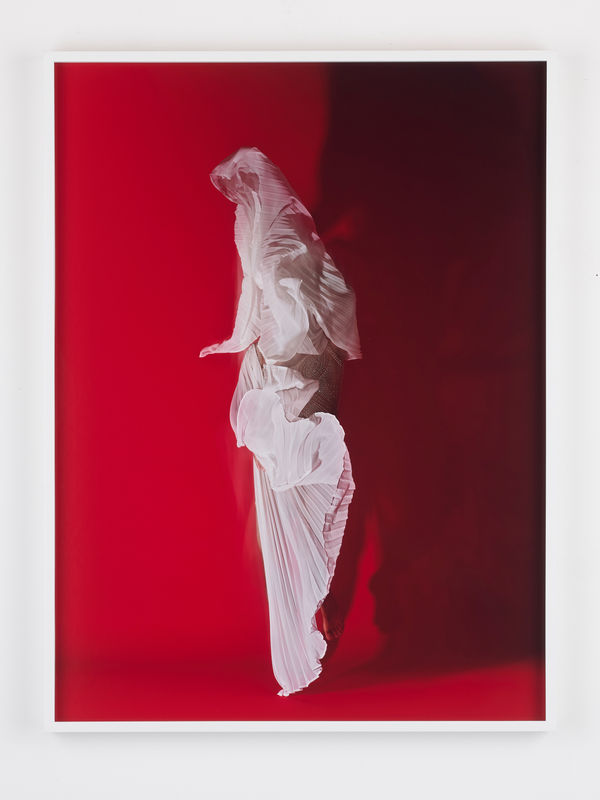 Jamil Hellu, Untitled (Odyssey), 2023