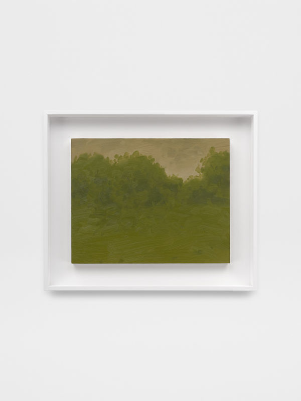 Will Gabaldón, Landscape (08/16/2024), 2024