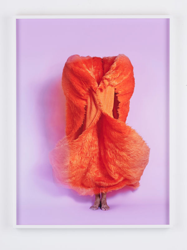 Jamil Hellu, Untitled (Odyssey), 2023