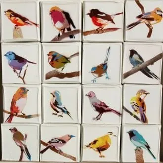 Datsun Tran, Birds, 2010