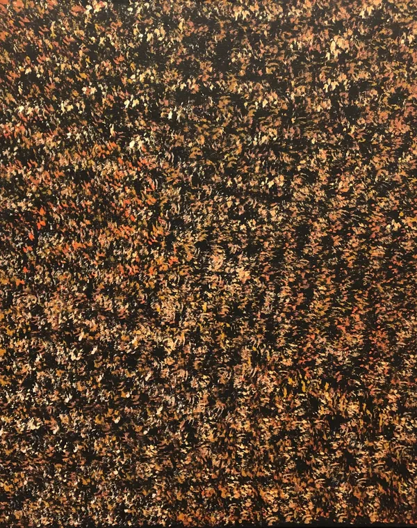 Maxie Tjampitjinpa, Bush Fire Dreaming, 1990