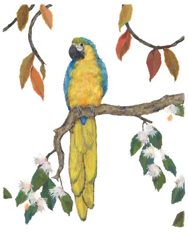 Alexandra Milton, Blue and gold macaw in jungle (part of triptych), 2014