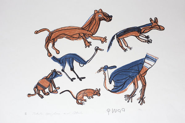 Qwaa, Jackall, Springhare & Ostrich, 1992