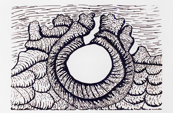 Jimmy Pike, Desert Rockhole, 1998