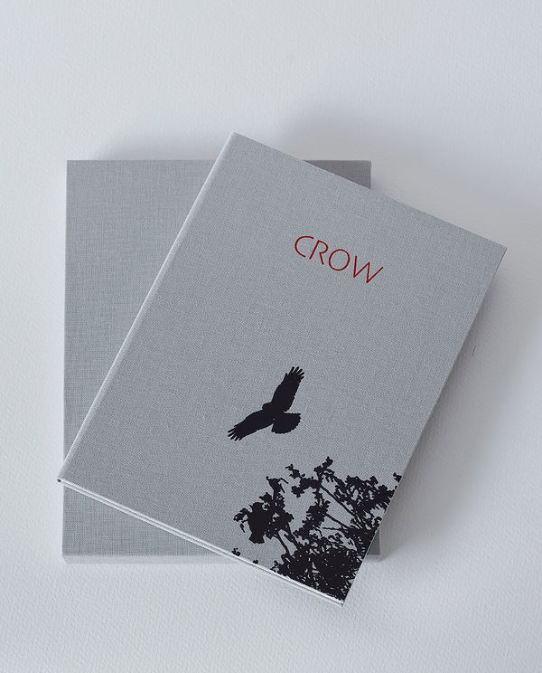 Luke White, Crow (Concertina), 2021