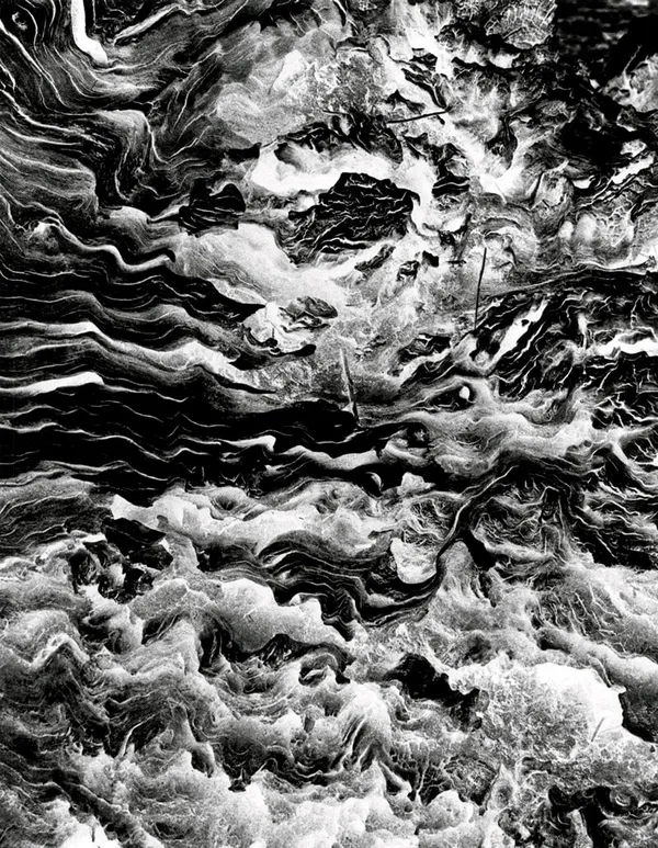 John Cato (c.1926-2011), Tree - A Journey #18, 1971 - 1973