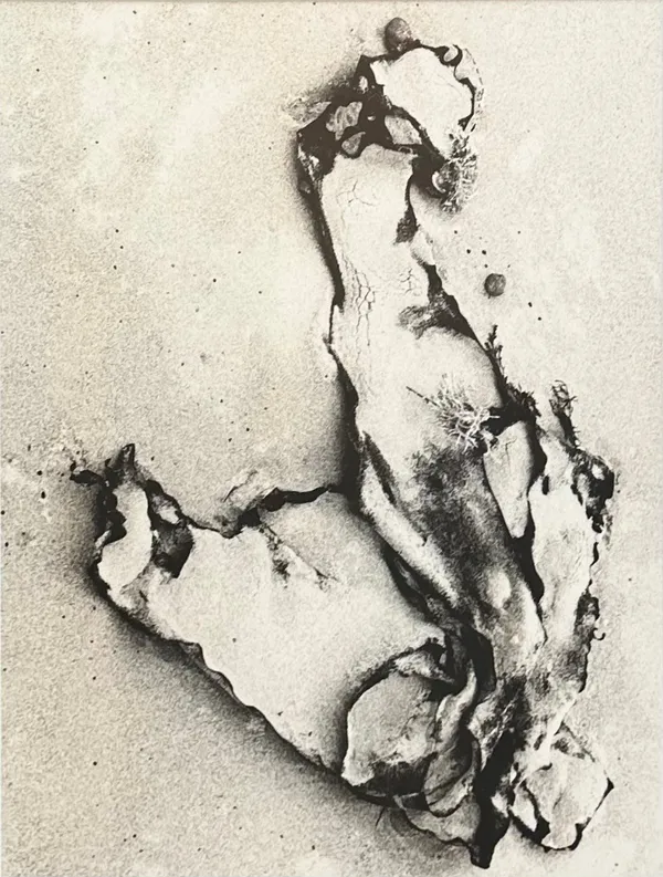 John Cato (c.1926-2011), Seawind #6 , 1971-1973