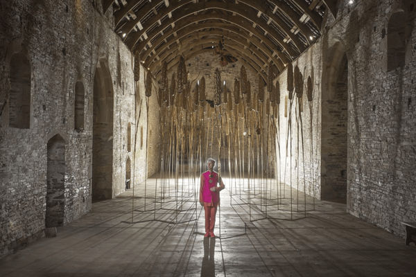 Andrew Logan, Goldfield, 2017