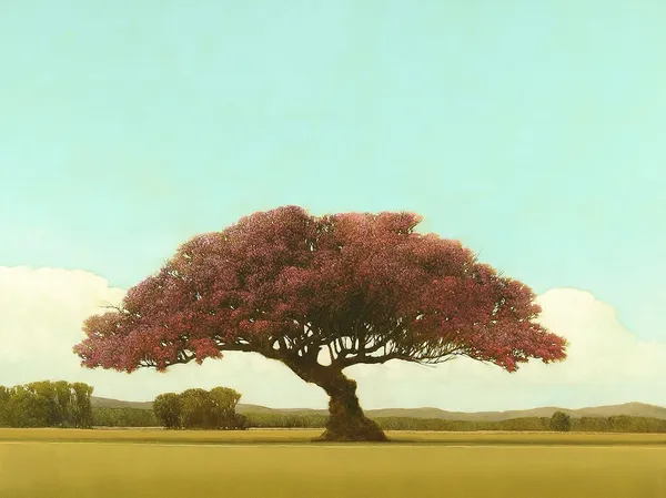 Robert Marchessault, Amada