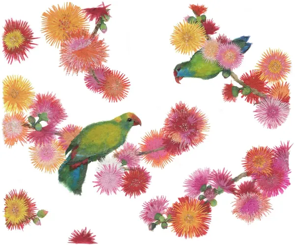 Alexandra Milton, Two colasisi in gum tree, 2014