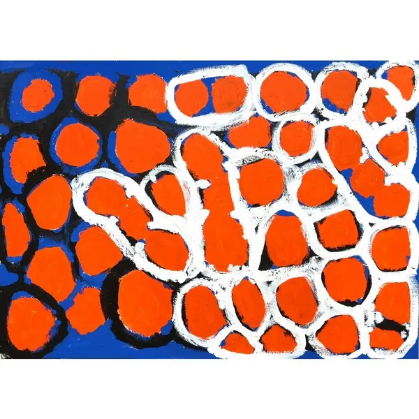 Thunduyingathi Bijarrb May Moodoonuthi, Bentinck Island, 2007