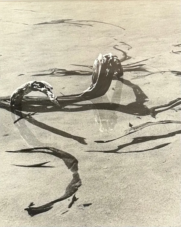 John Cato (c.1926-2011), Shallows, 1985 - 1991