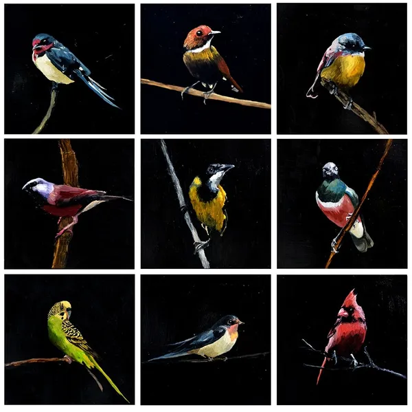 Datsun Tran, Birds, 2014