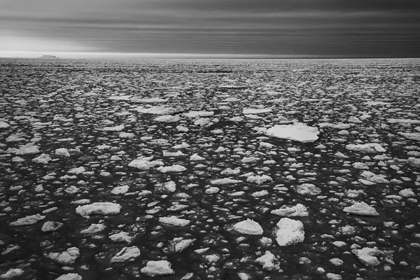 Garlinda Birkbeck, Endless Ice, 2012