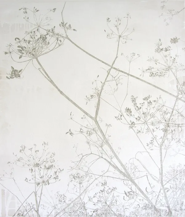 Melanie Goemans, Queen Anne's Lace, 2013