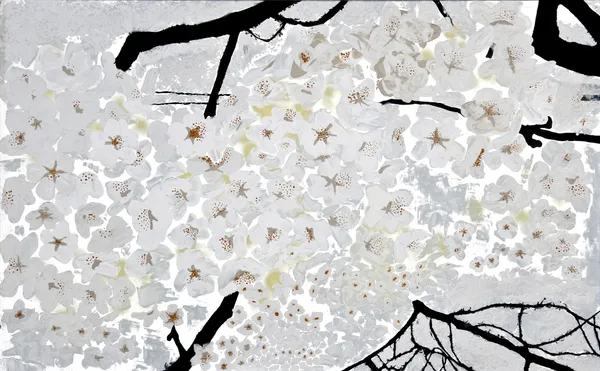 Chantal de Gaudio, Abundance, 2013