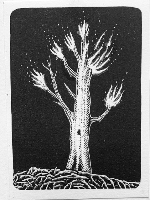 David Frazer, Burning Moonlight IV, 2025