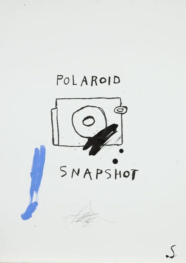 Stephen Anthony Davids, Polaroid, 2014