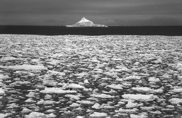 Garlinda Birkbeck, Big Top, 2012