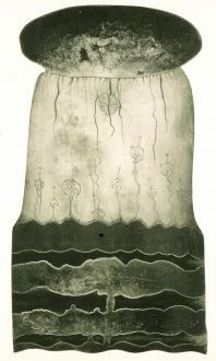 Dennis Nona, wakasu, 2007