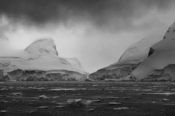 Garlinda Birkbeck, Sphinx, 2012