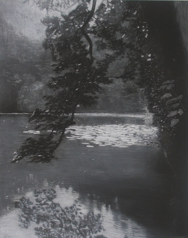 Sheila Clarkson, Reflections at Abbot Pool, 2014