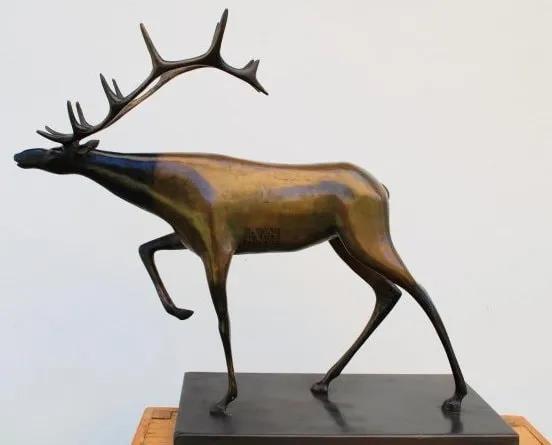 Anthony Vanderzweep, Staghorn, 2009