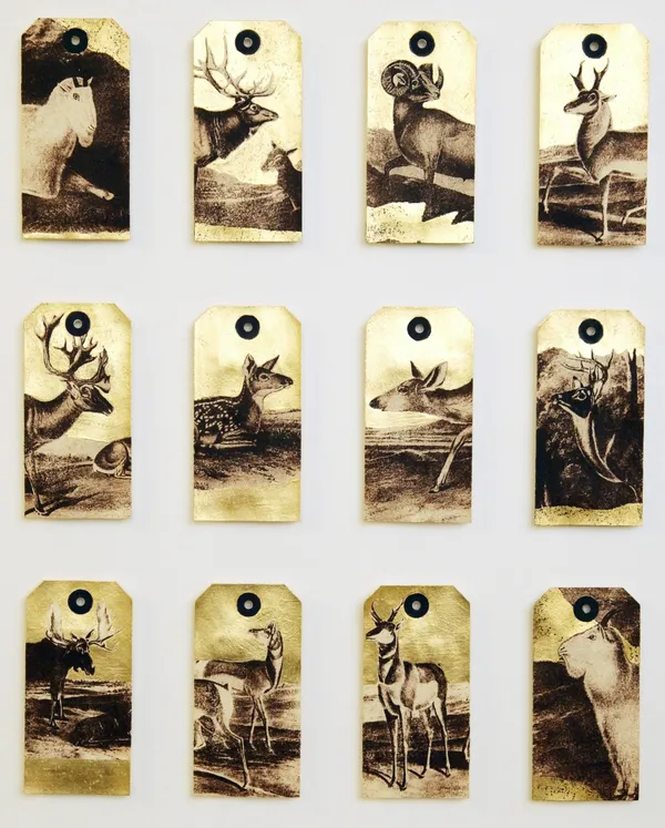 Rebecca Jewell, Deer After Audubon, 2013