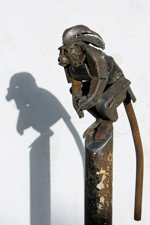 Iain Nutting, Cotton Top Tamarin, 2016