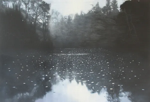 Sheila Clarkson, November Abbots Pool 2, 2015