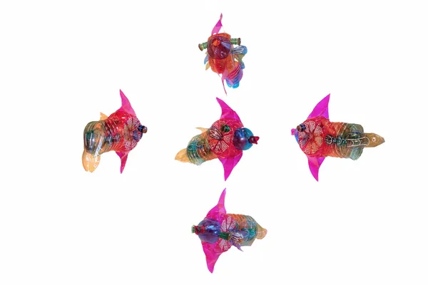 Edgardo Rodriguez, Fishes Family, 2014