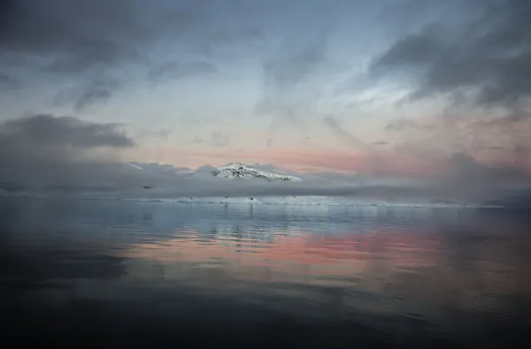 Garlinda Birkbeck, Crocodile Sunset, 2012