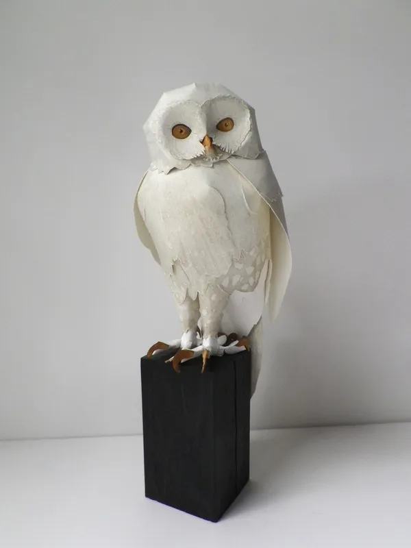 Sheridan Jones, Little White Owl, 2015