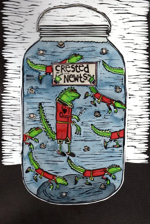 David Farrer, Crested Newts, 2012