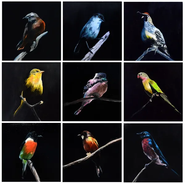 Datsun Tran, Birds, 2014
